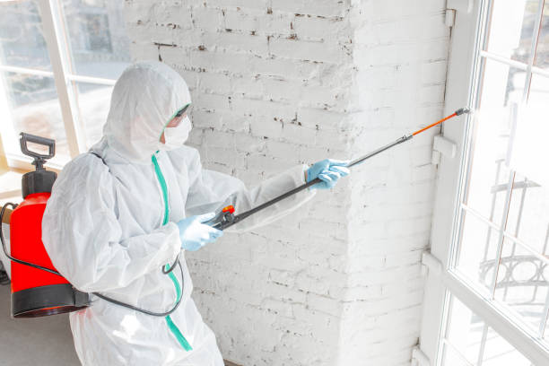 Professional Mold Inspection in Rose Hill, NC